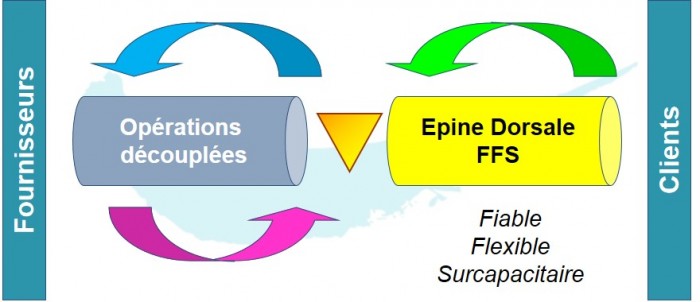 EpineDorsale